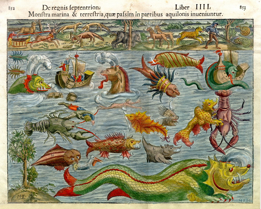 D’après Olaus Magnus, <i>De regnis septention Monstra marina & terrestria</i>, vers 1550. 1978.323, Musée McCord Stewart